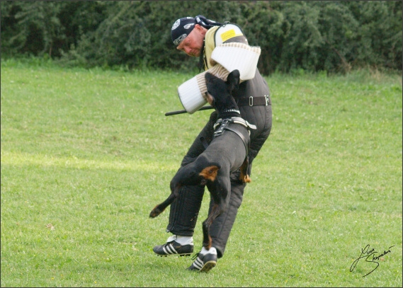 Summer training camp - Jelenec - 2007